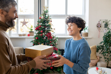 Sticker - Happy bearded man passing two giftboxes to his pretty wife while looking at her