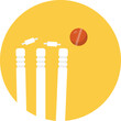 
Flat icon cricket, wicket and ball 
