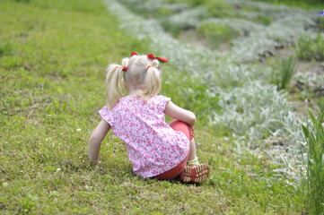 little child sitting on the grass