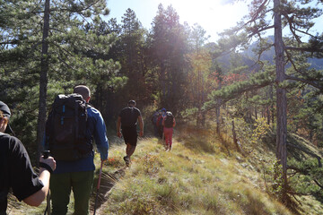 hiking in the woods