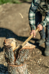 Vertical shot of male hands cutting a tree trunk with an ax