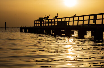 Wall Mural - beautiful hot of a yellow sunrise over a port near tampa bay in florida
