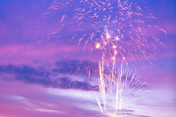 Wall Mural - colorful of fireworks display on sky in the pastel background.