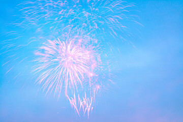 Wall Mural - colorful of fireworks display on sky in the pastel background.