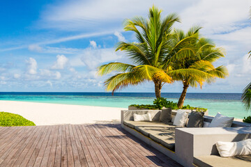 Sticker - Beautiful view of couches next to a palm tree near the beach on a sunny summer day