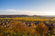 Vineyards of Unterjesingen near Tübingen, Germany, with view of Wurmlinger Kapelle (chapel) and colorful autumn leaves in romantic afternoon light