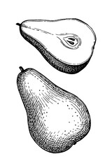 Canvas Print - ink sketch of pear.