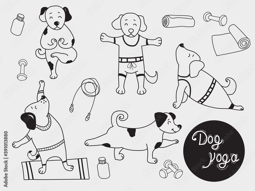 Yoga pets. cute puppies stand in an asana and go in for sports. Dog ...