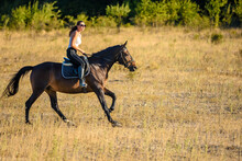 My Favorite Blurry Days Free Stock Photo - Public Domain Pictures