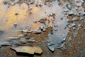 Wall Mural - Metallic background blurred in soft focus at high magnification. Iron sheet heavily rusted from time with the remains of cracked paint.