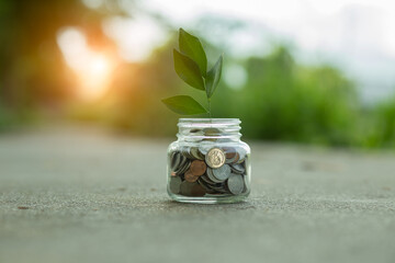 Saving money by hand puting coins in jug glass on nature background