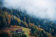 Dolomites fog color foliage house