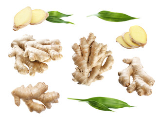 Set of fresh aromatic ginger with green leaves on white background