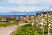 Radfahren Am Bodensee
