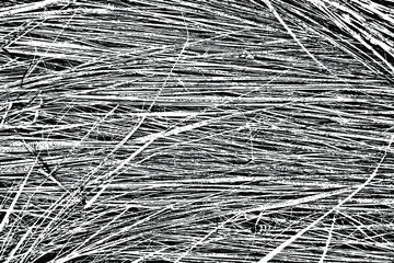 Grunge texture of tall, decayed autumn grass. Withered grass, straw, hay. Vector illustration. Overlay template.