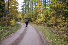 Hiker On A Winding Gravel Road In Fall Season