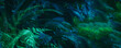 © WDnet Studio - Wide floral background - trendy green dark toned image of tropical bush foliage.