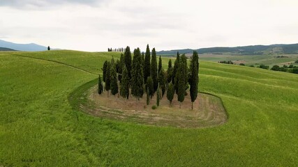 Canvas Print - Group of Cypresses in Tuscany. Circular aerial view of Orcia Valley, Italy