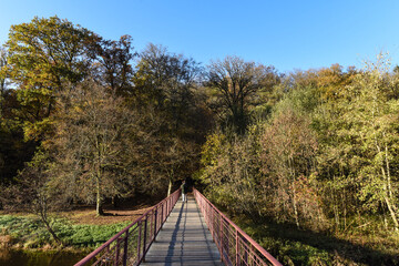 Canvas Print - Belgique Wallonie automne nature foret Pont Chiny semois