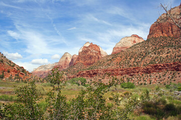 Wall Mural - Zion National Park