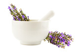 Fototapeta Lawenda - Lavender (Lavandula Angustifolia) Flower in a Grinding Bowl. Isolated on White Background.