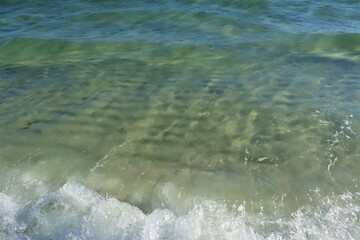 Wall Mural - Small green waves near the shore of the ocean, the bottom is clearly visible through the clear water, close shooting