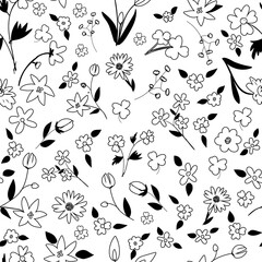 Black and white, handmade sylvester flowers illustration, outline flowers with black filled leaves,.