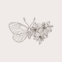 Floral Butterfly Icon In A Linear Minimalist Trendy Style. Vector Outline Emblem Of Wings With Flowers For Creating Logos Of Beauty Salons, T-shirt Print, Massages, Spas, Jewelry, Tattoos