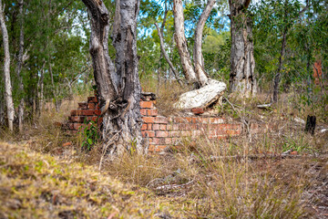 Tree in front of brick wall in Glassford