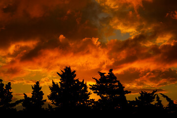 Wall Mural - close-up sunset background on a cloudy day.