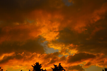 Wall Mural - close-up sunset background on a cloudy day.