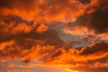 Wall Mural - close-up sunset background on a cloudy day.