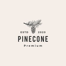 Pine Cone Hipster Vintage Logo Vector Icon Illustration