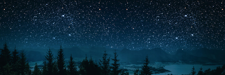 the star indicates the christmas of jesus christ.