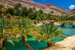 Oasis in the desert of Oman