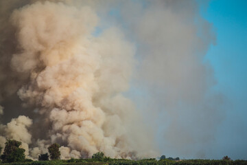 Large clouds of smoke, fire in nature.