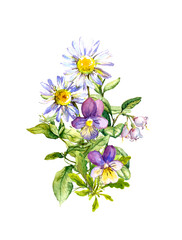 Wall Mural - Bouquet of summer flowers with chamomile. Watercolor