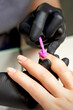 © okskukuruza - Manicure master applying pink nail polish to female nail in nail salon