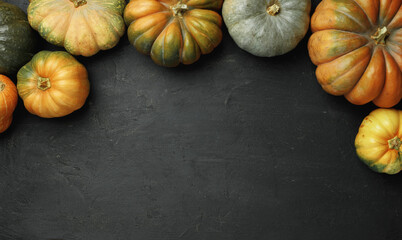 Several different pumpkins on black background top view