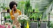 Joyful young woman in flower shop standing at workplace and calling on cellphone. Cheerful African American female florist worker in floral house chatting on smartphone. Floristry concept