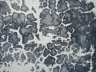 Wall Mural - texture of wall