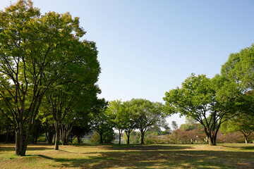 Canvas Print - 鶴見緑地公園