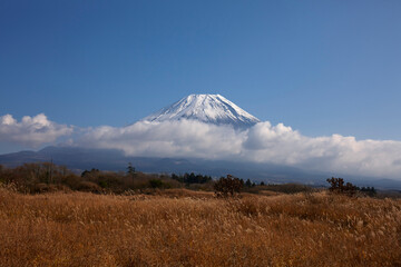 Sticker - 秋の朝霧高原からの富士山