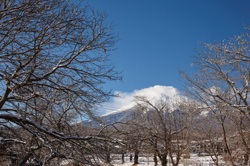 Sticker - 雪の忍野八海