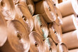 Background from paper rolls. Cardboard roll paper