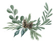 © Kate K. - Watercolor composition with green winter leaves, branches, berries, eucalyptus, pine cone. Christmas bouquet isolated on white background. Aesthetic illustration for wedding, business card, promotions