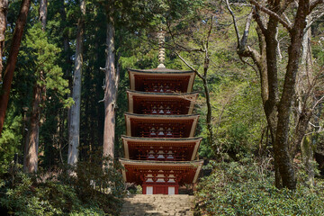 Wall Mural - 室生寺,五重塔