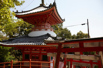 Canvas Print - 信貴山朝護孫子寺,多宝塔