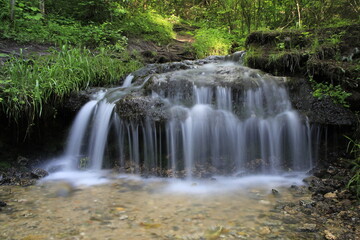 waterfall in the forest