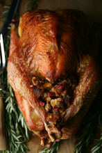 Close Up Of Thanksgiving Roasted Turkey
